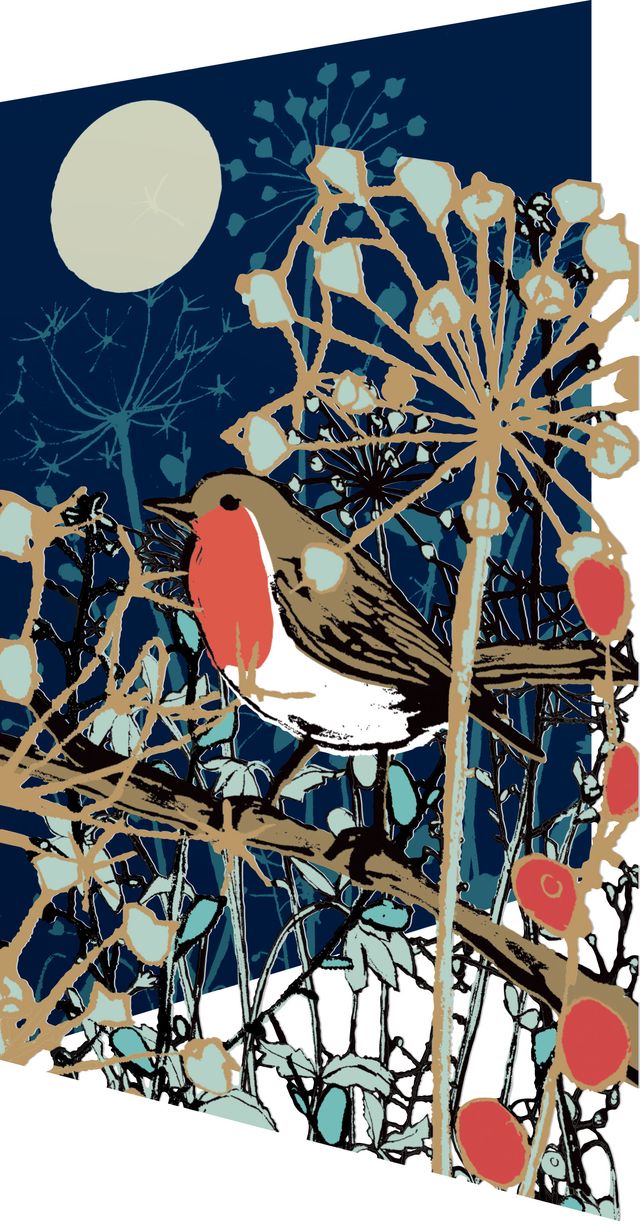 Winter's Tale Robin Christmas Card