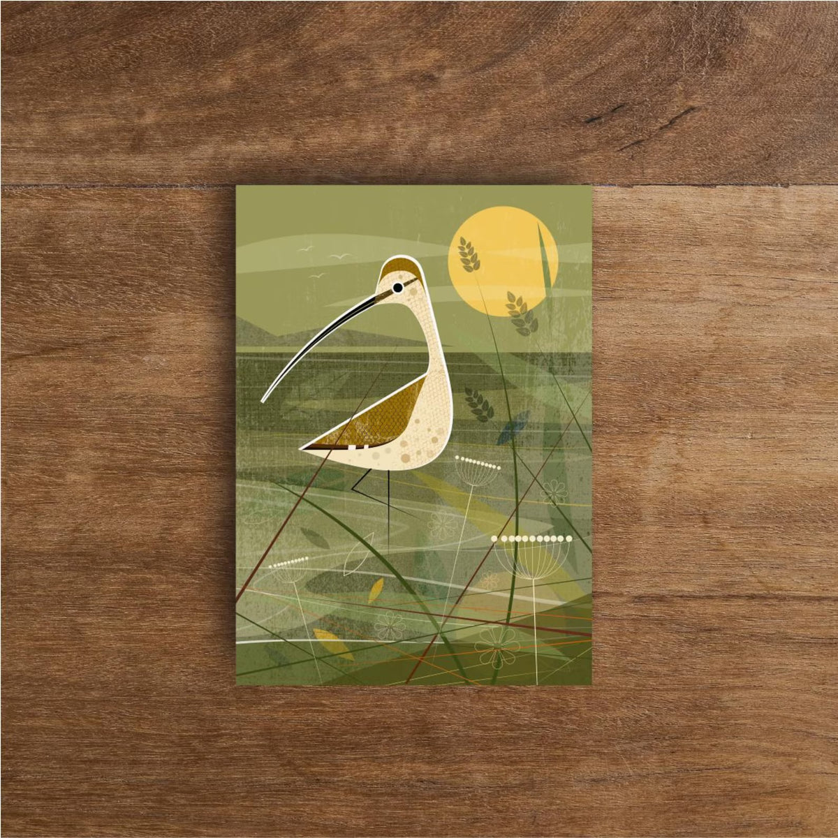 Curlew in the Shallows Greetings Card