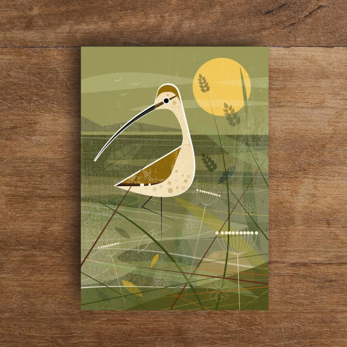 Curlew in the Shallows Greetings Card