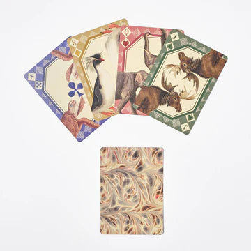 Animal Kingdom Playing Cards
