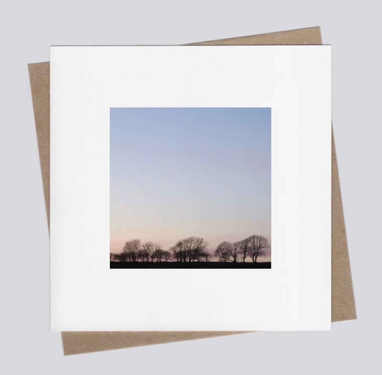 Winter Trees 7 Greetings Card
