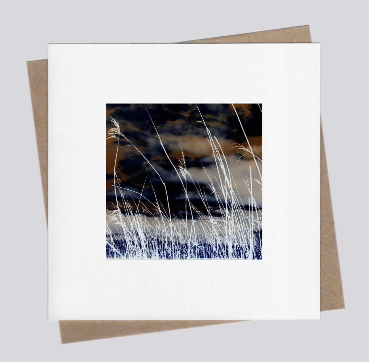 Seagrass 14 Greetings Card
