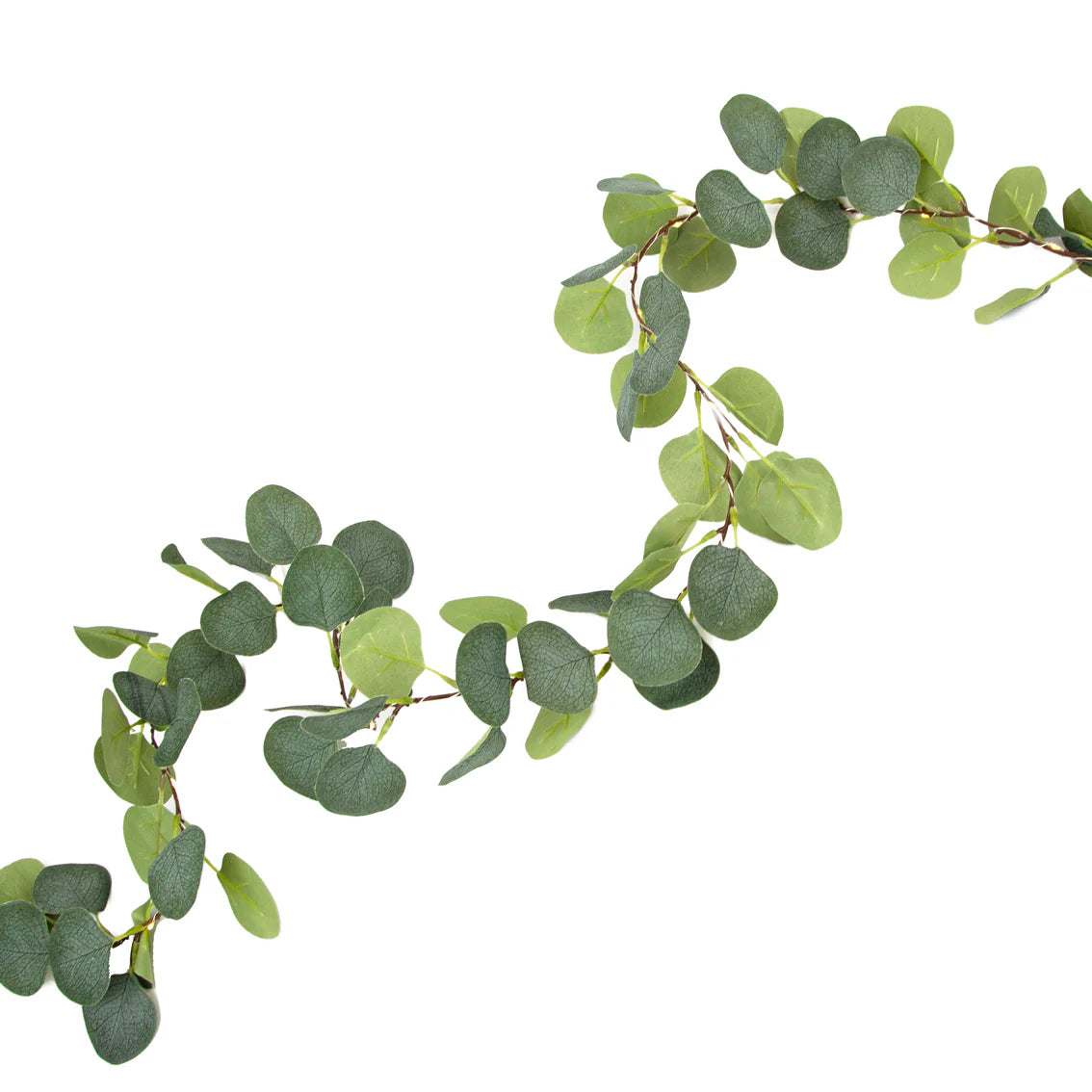 Midnight Forest String Lights