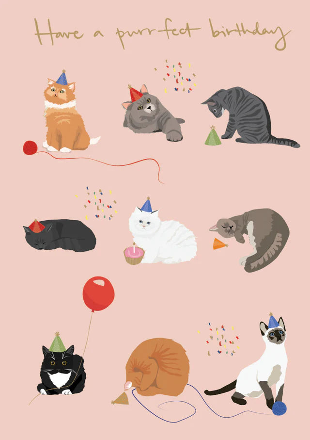 Nine Cats In Hats Birthday Card