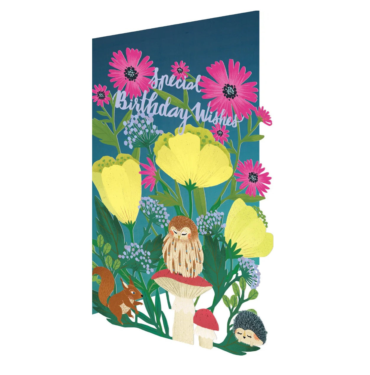 Special Birthday Wishes Laser Cut Card
