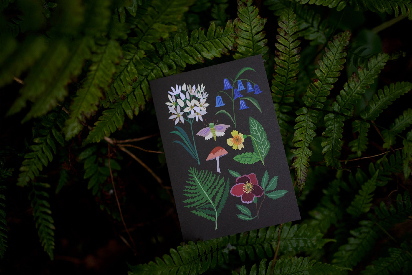 Woodland Greeting Card