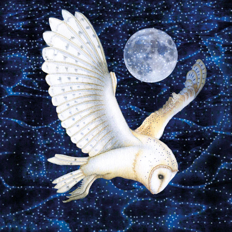 The Wide Winter Night Greetings Card by Kate Green