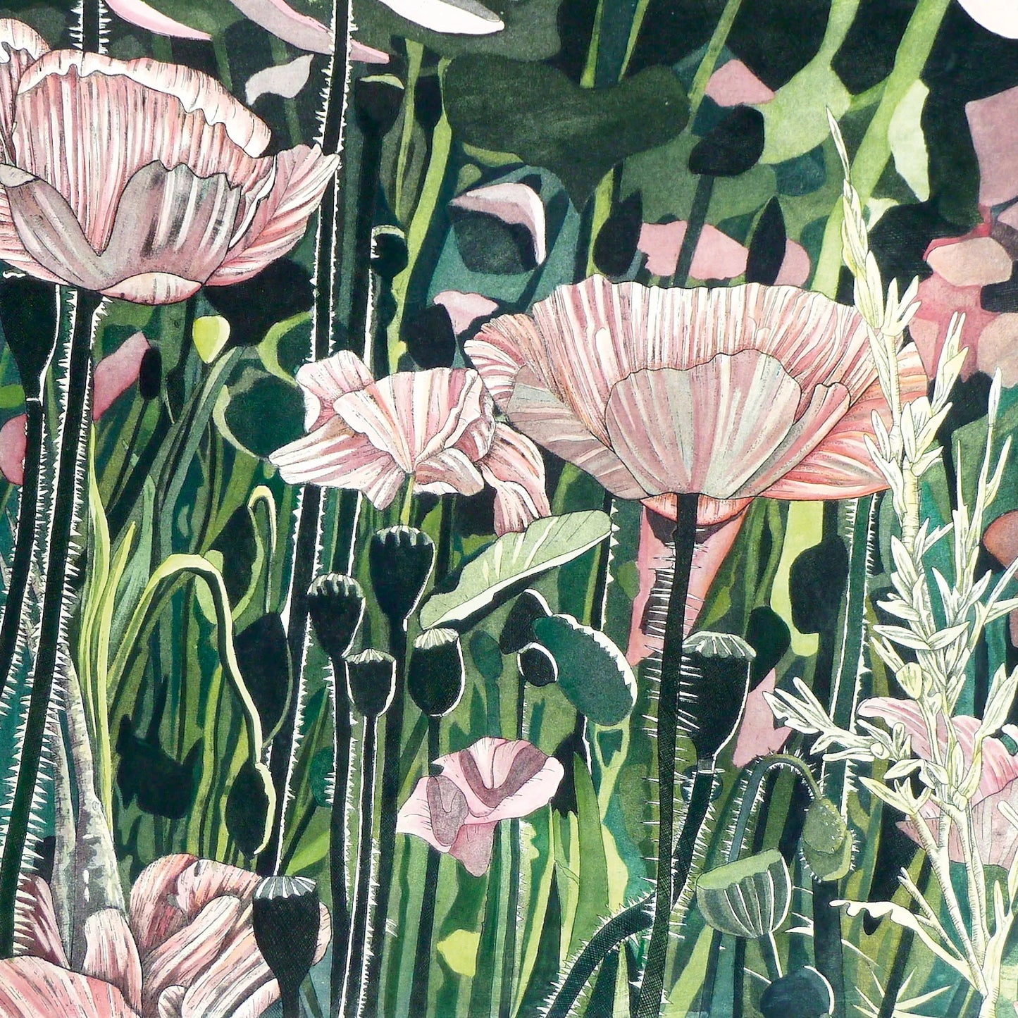 Poppy Field Greetings Card by Meg Dutton