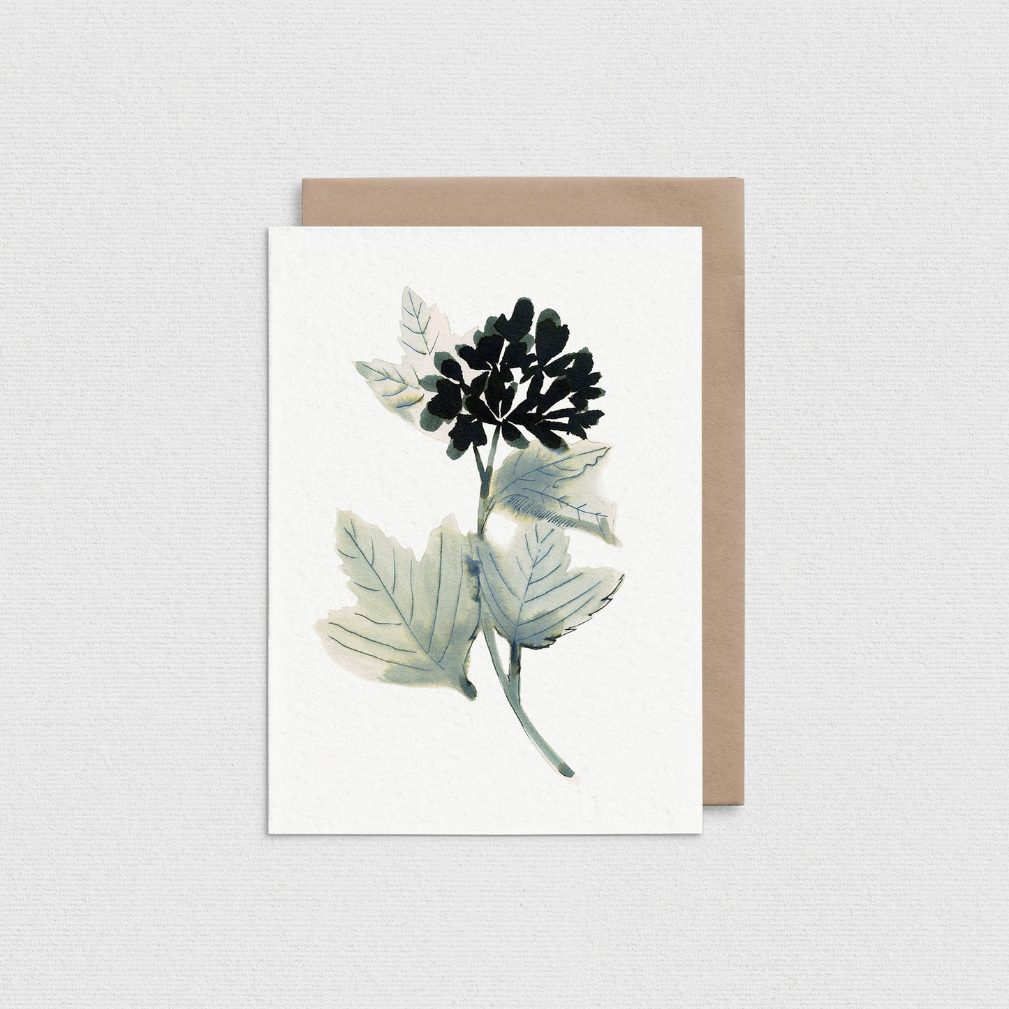 Geranium - Greeting Card