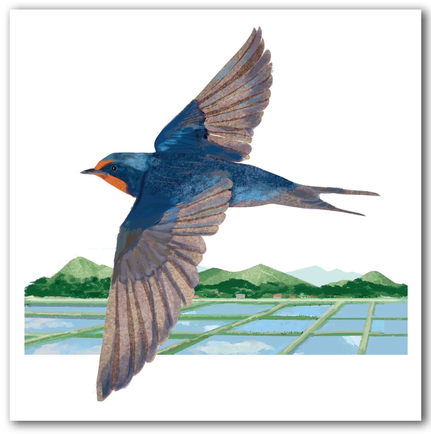 Flying Swallow Greetings Card