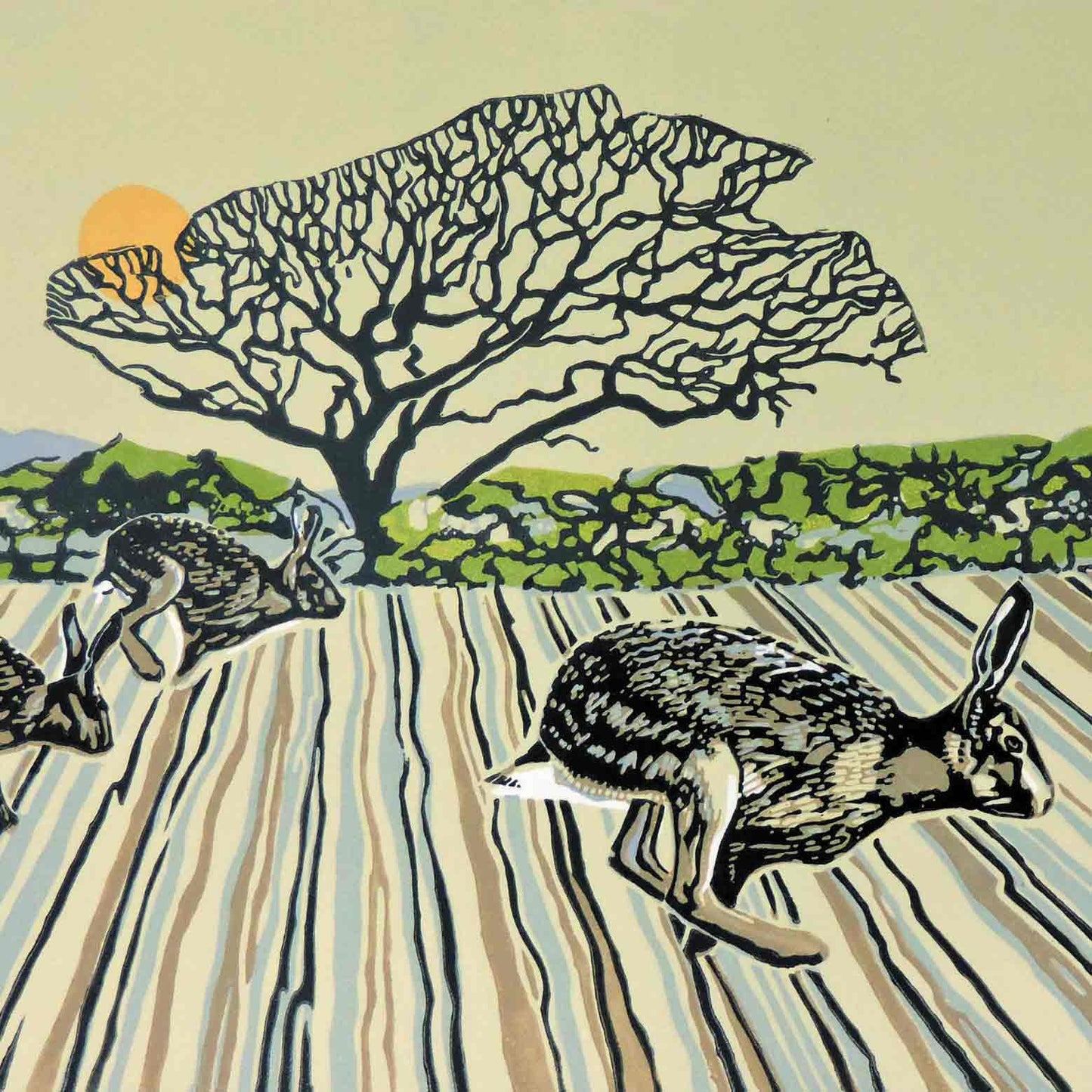 Alexander And The Racing Hares Greeting Card
