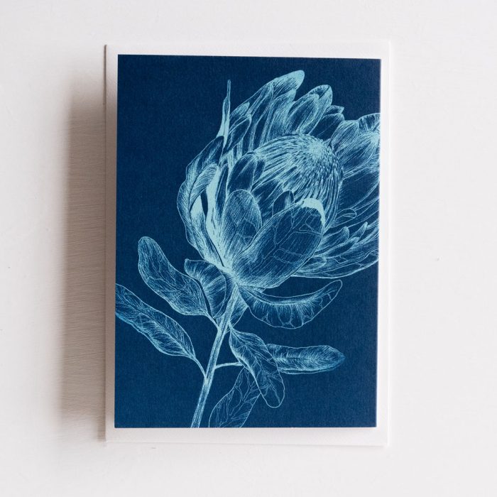 King Protea greeting card