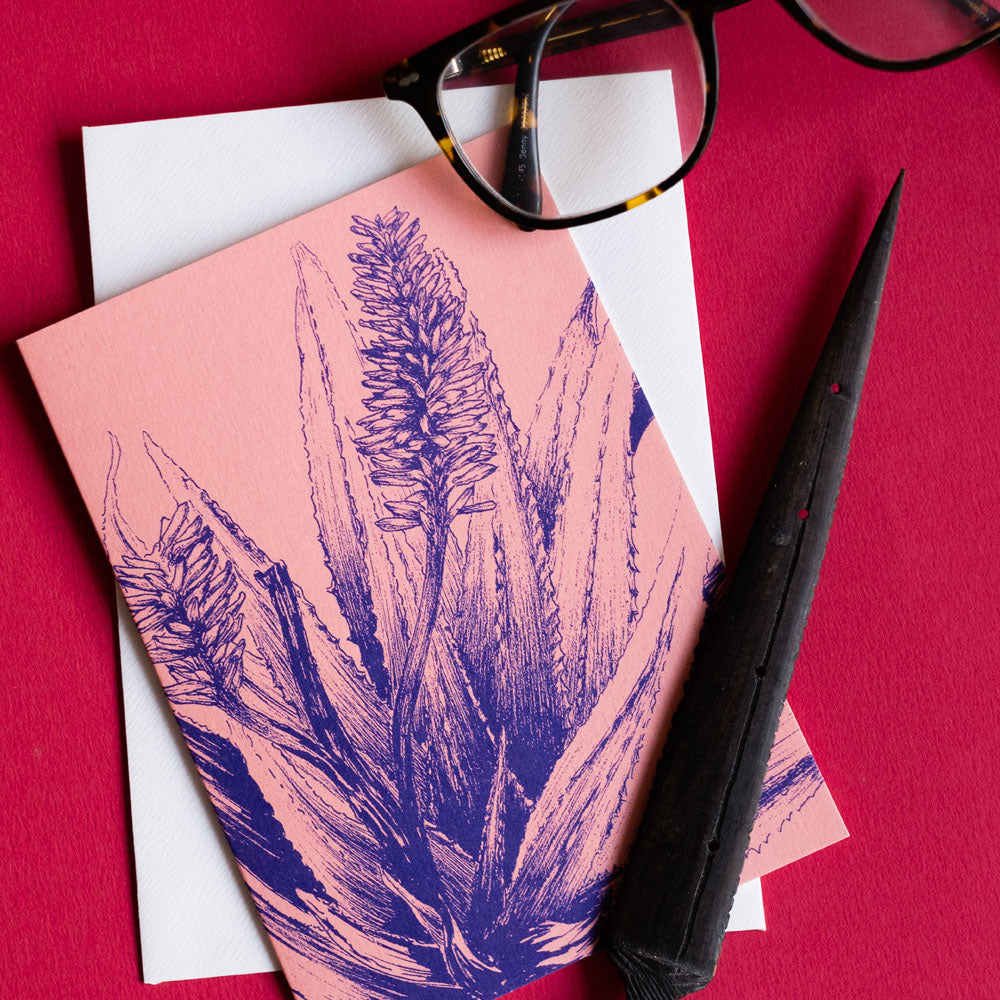 Aloe In Rose Card