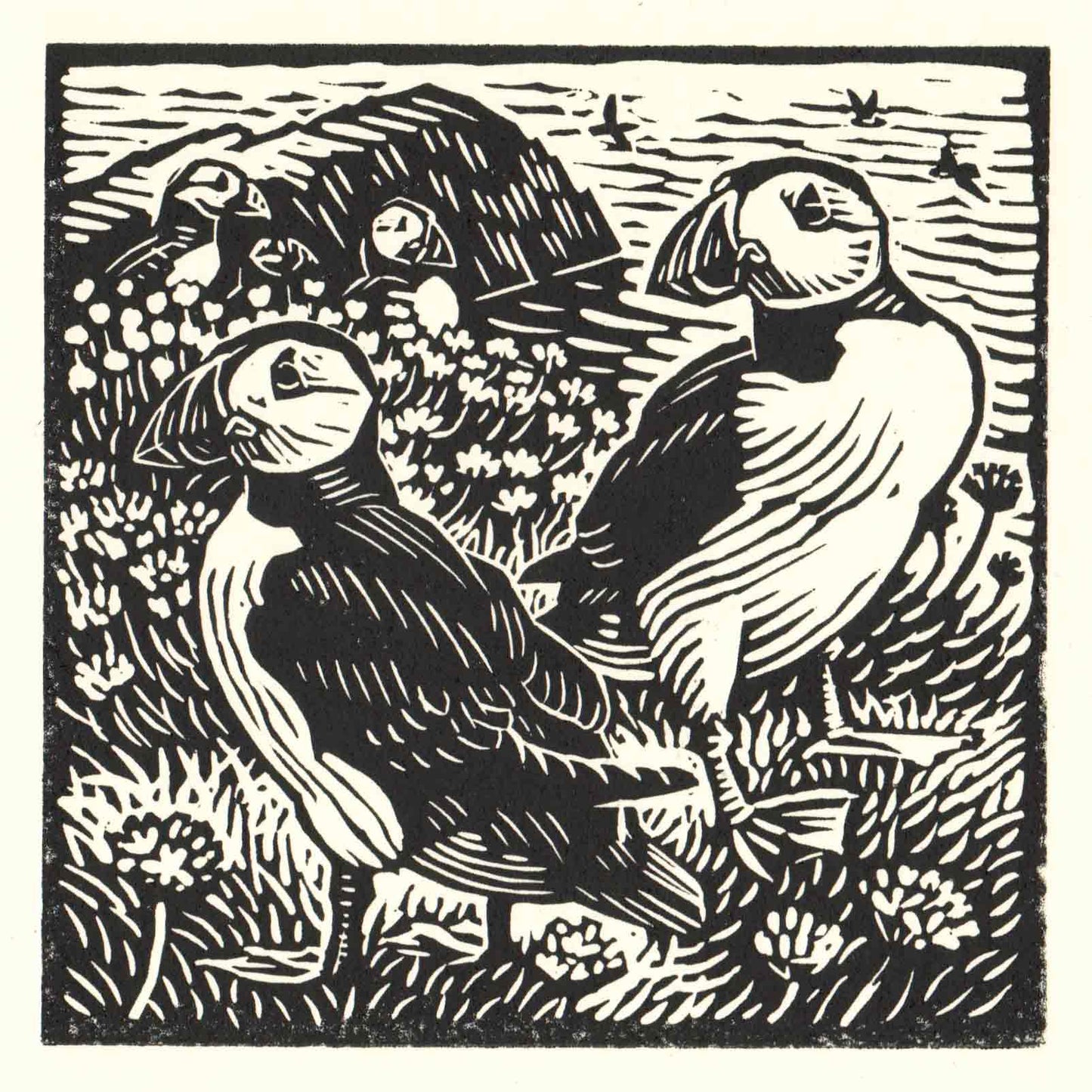 Puffins Greeting Card