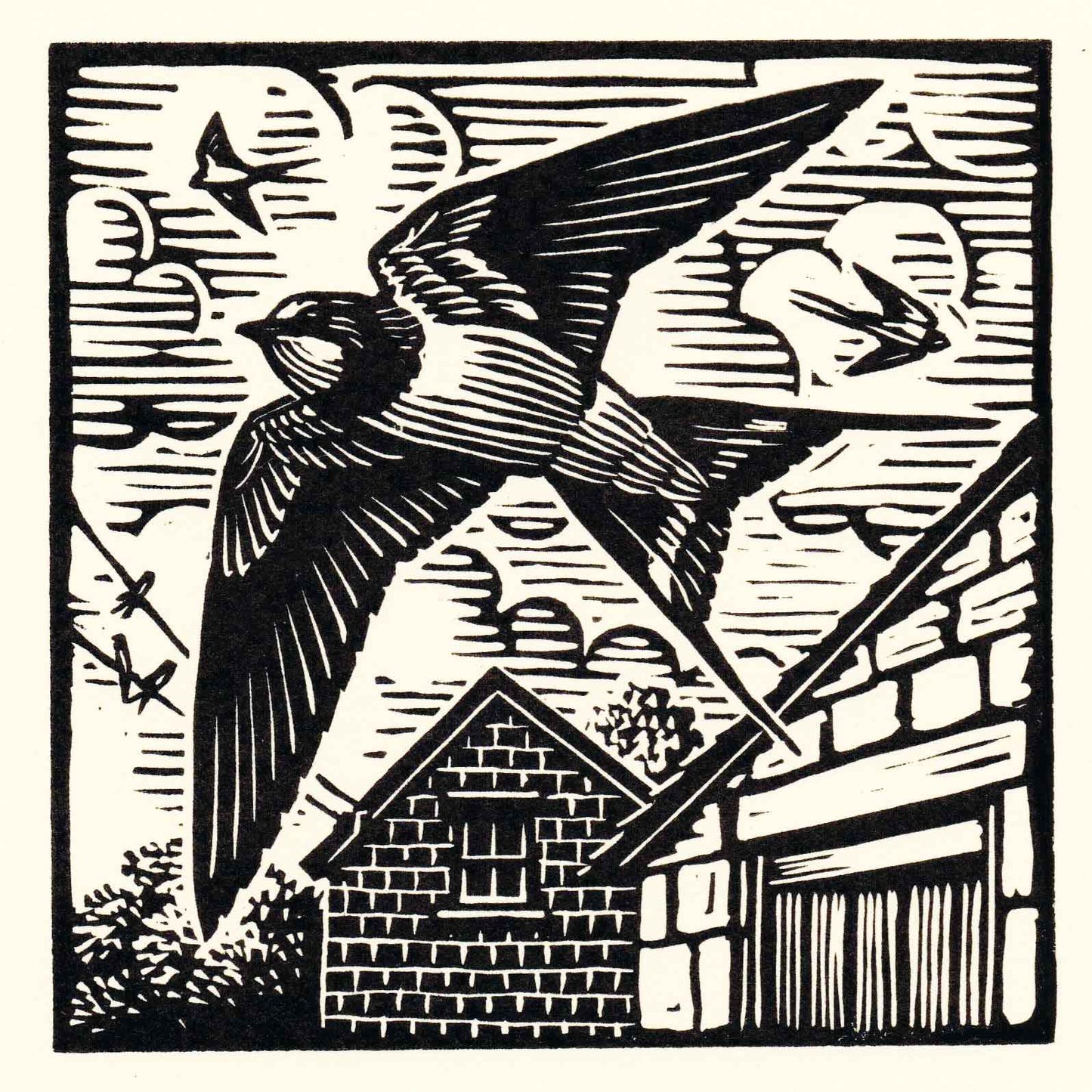 Swallows Greeting Card