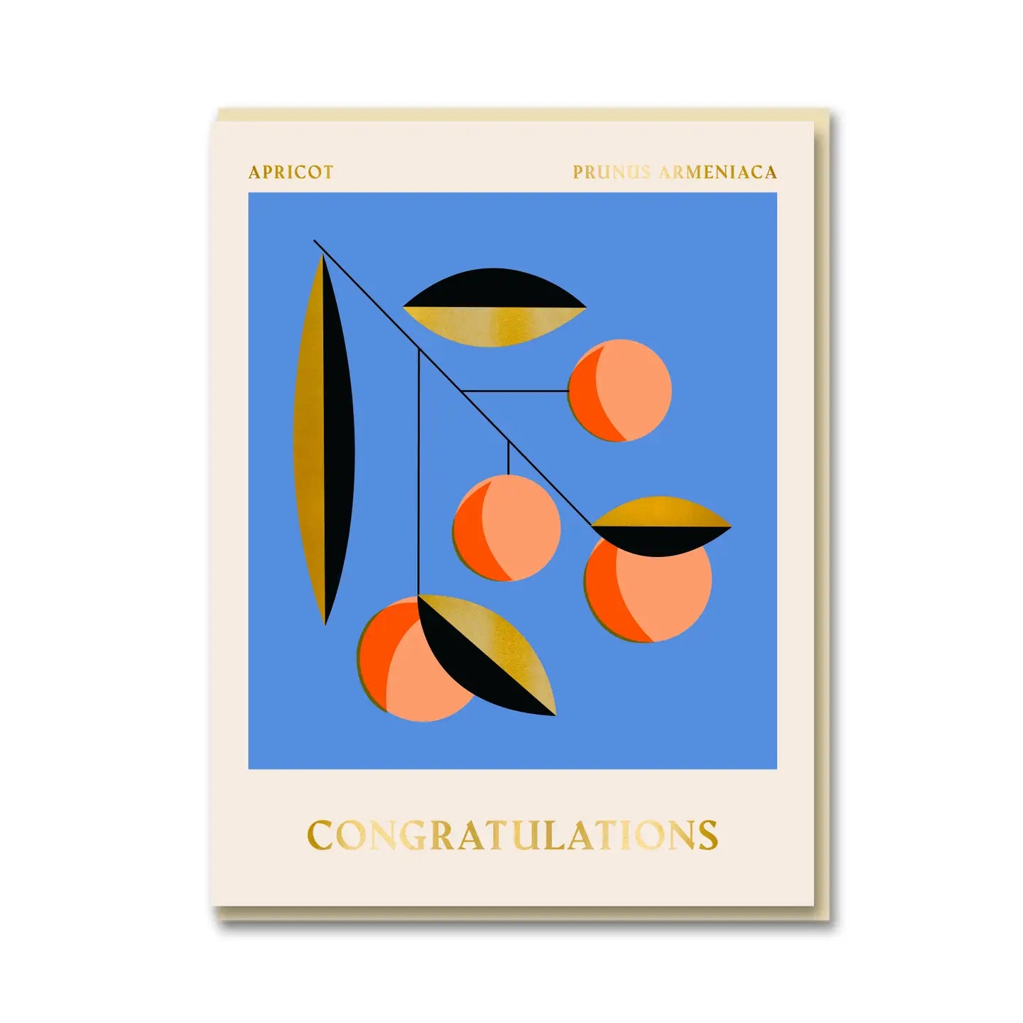 Apricot Congratulations Card