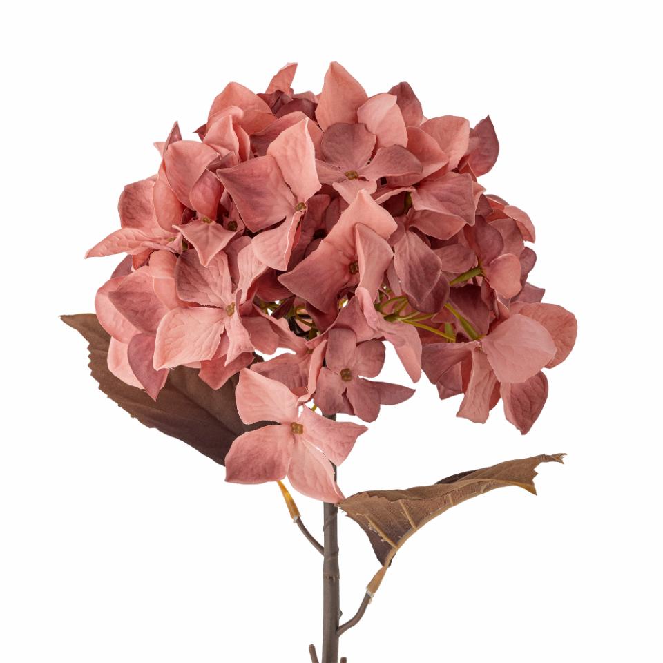 Hydrangea Rose Stem