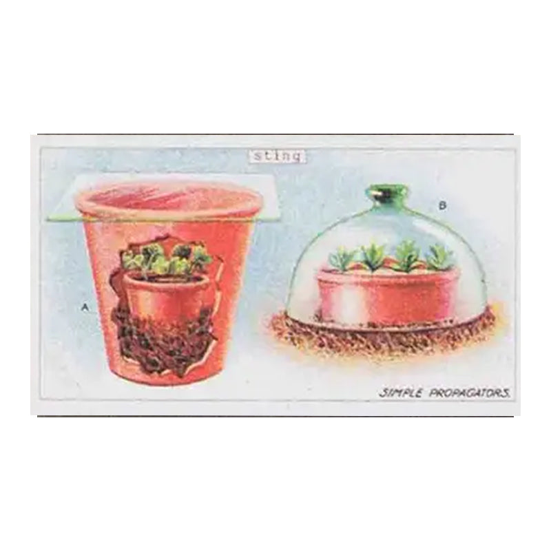 Gardener's Soap
