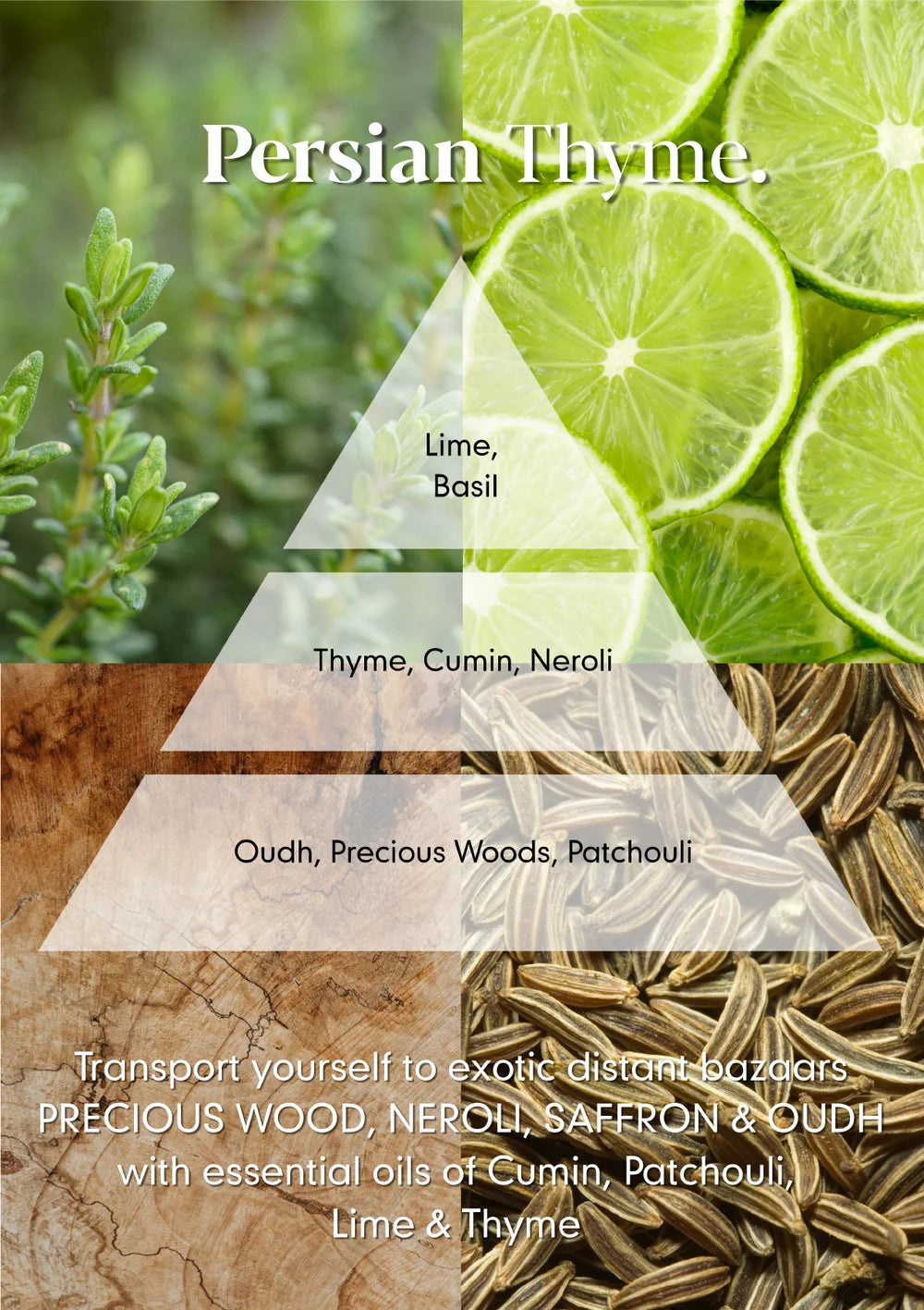 Osmology Persian Thyme Reed Diffuser Refill