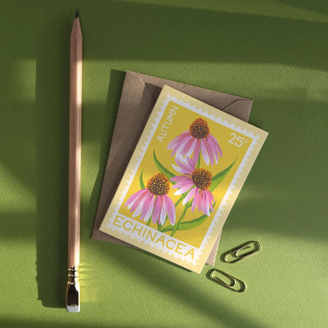 Echinacea Autumn Illustrated Mini Greetings Card