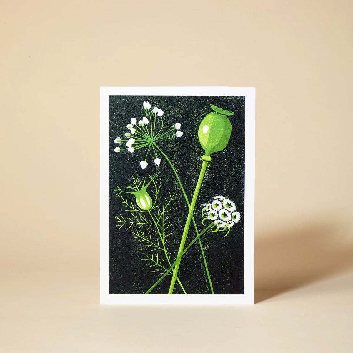 Seed Heads Greetings Card