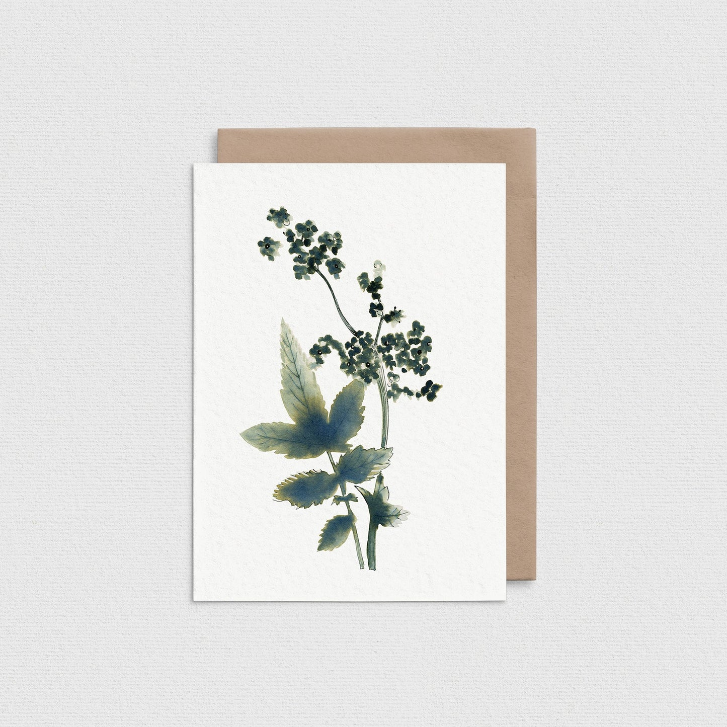 Meadow Sweet - Greeting Card
