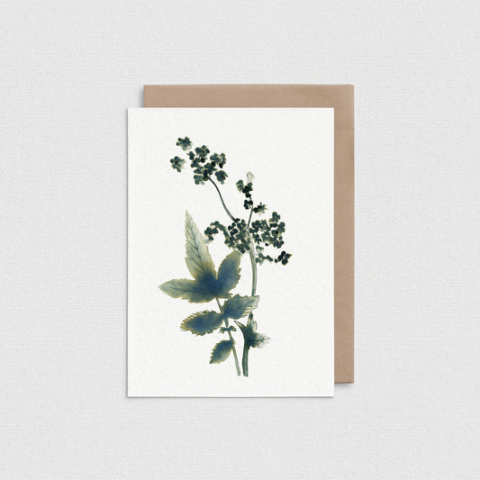 Meadow Sweet - Greeting Card