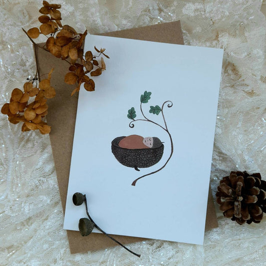 Acorn Baby Greeting Card