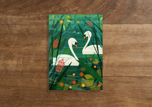 Swans Swimming Greetings Card