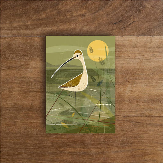 Curlew in the Shallows Greetings Card