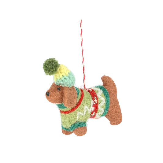Dachshund In Jumper