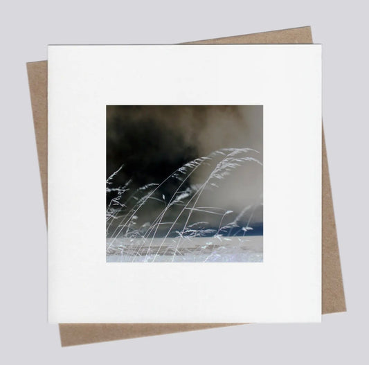 Seagrass 28 Greetings Card