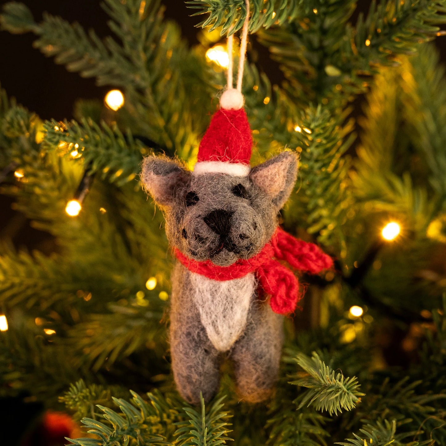 French Bulll Dog With Hat & Scarf