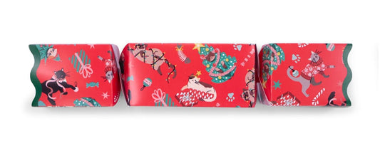 Cat Cracker - 13 inch