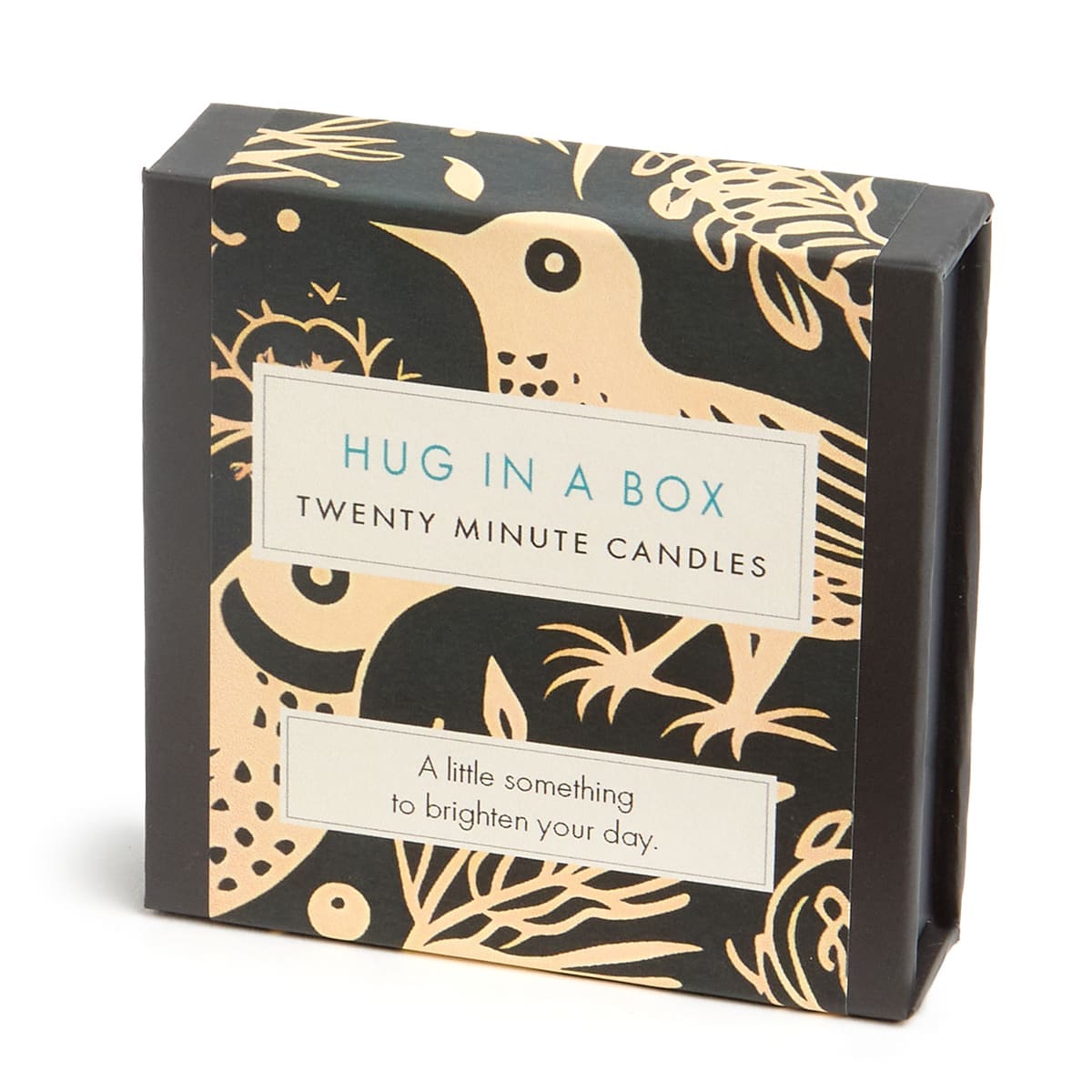 20 Minute Candles - Hug In A Box (Folk)