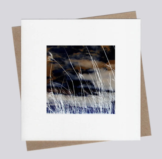 Seagrass 14 Greetings Card