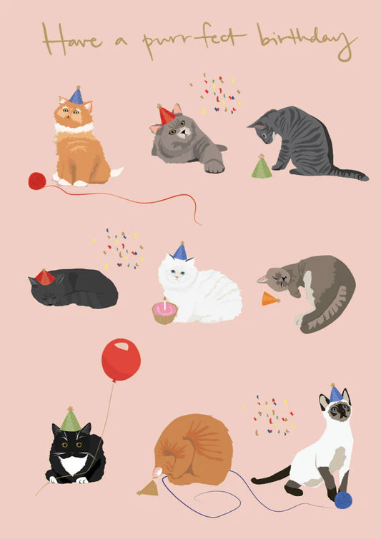 Nine Cats In Hats Birthday Card
