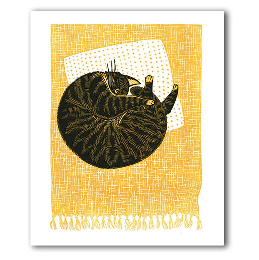 Curled Up Cat Cat