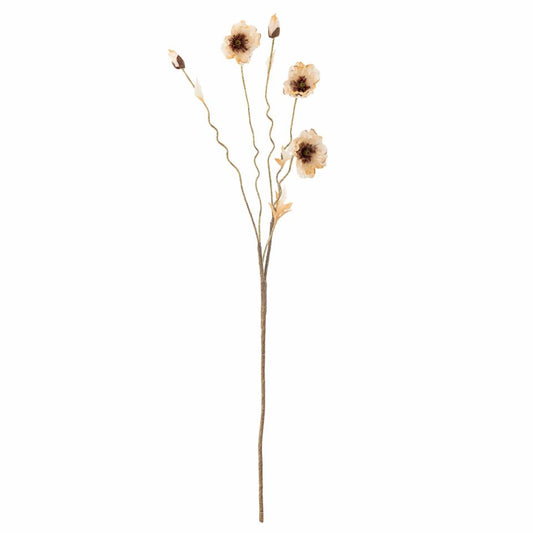 Poppy Stem