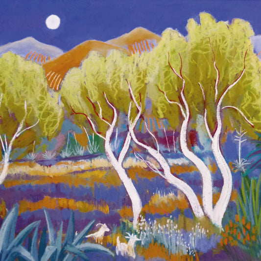 Ghost Trees, Mallorca Greetings Card by Sue Campion