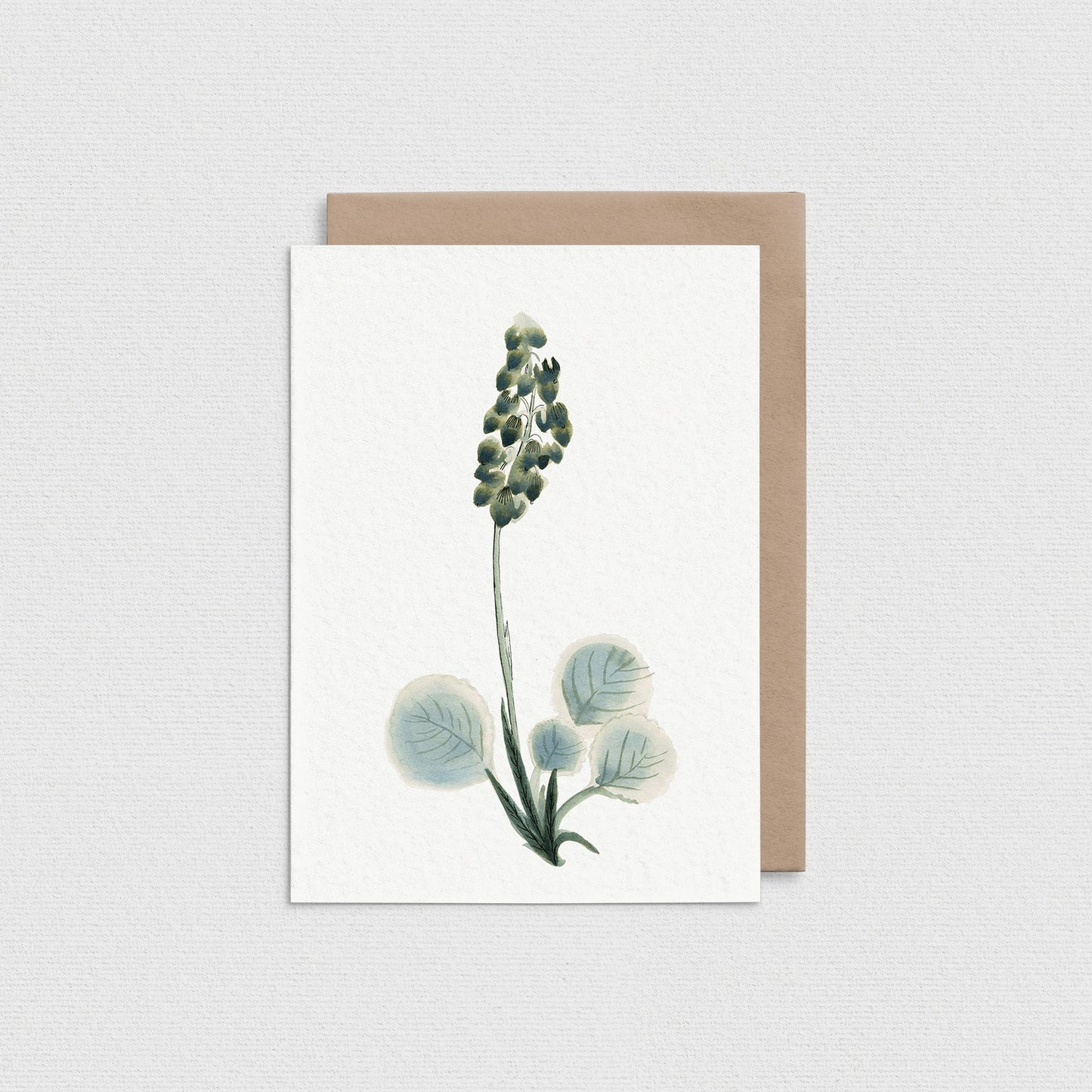 Wintergreen - Greeting Card