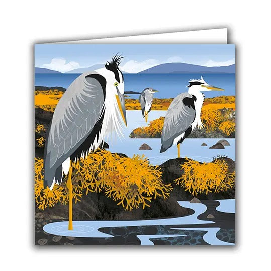 Herons In The Hebrides Greeting Card