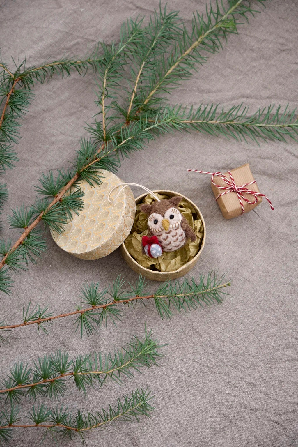 Owl With Gift