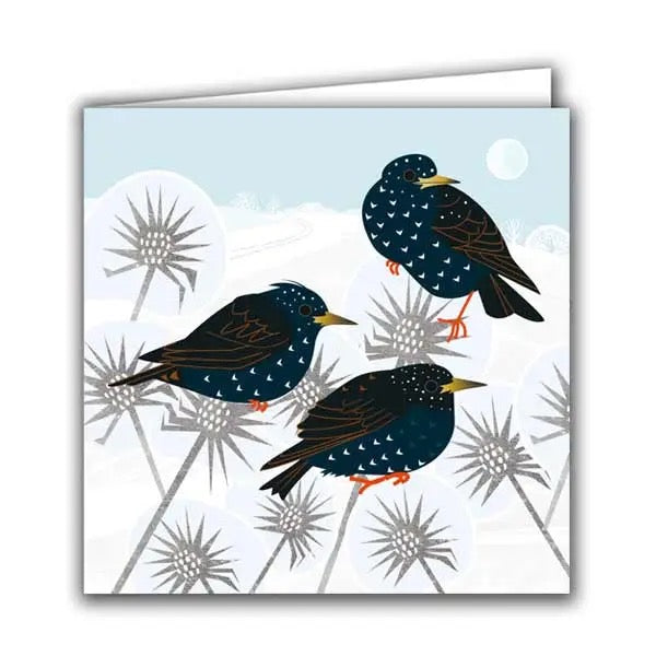 Starlings, Frosty Thistles Greeting Card