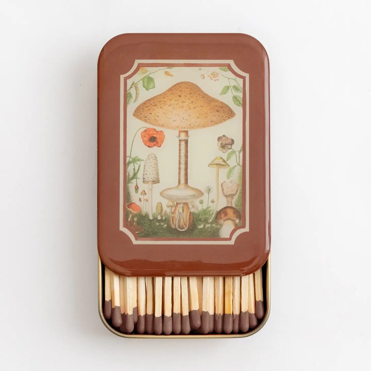 Matches In A Tin-Fungi Design
