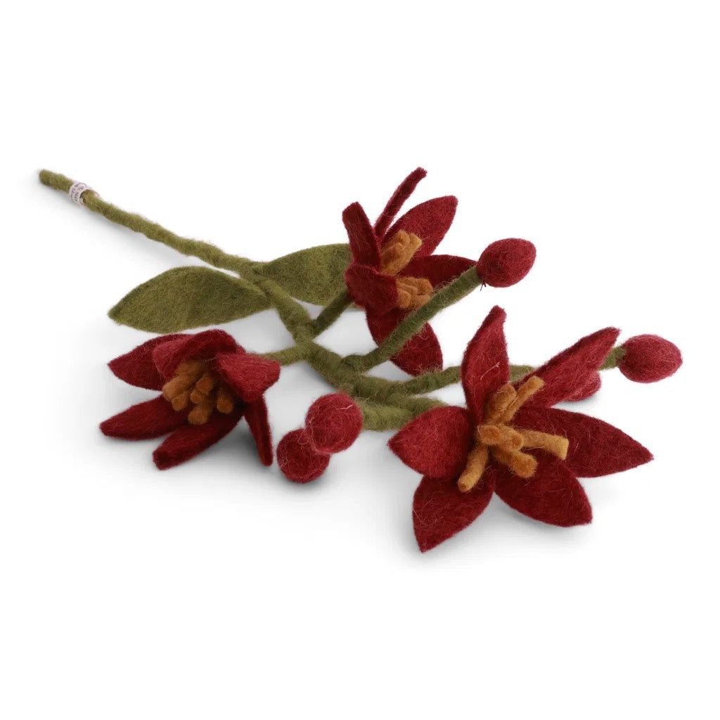 Dark Red Nova Flower