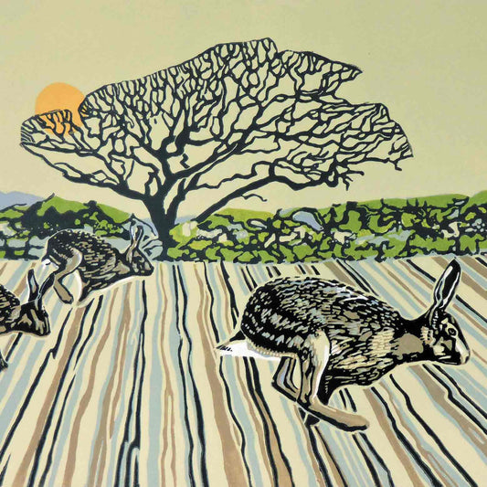 Alexander And The Racing Hares Greeting Card