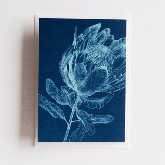 King Protea greeting card
