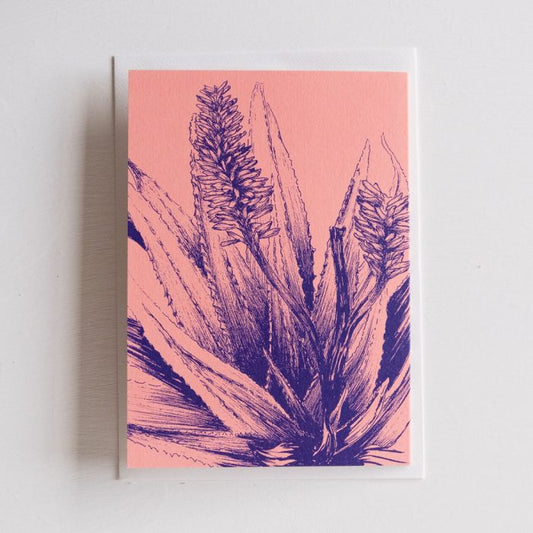 Aloe In Rose Card