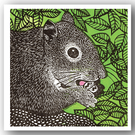 Squirrel Card